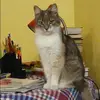 Отзыв от Эльвира Олейникова